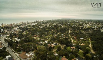 Aportes al Plan de Ordenamiento Urbano